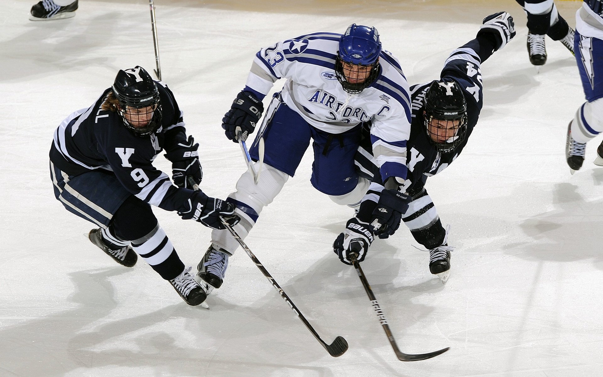摩洛哥男篮在非洲锦标赛中崭露头角，篮球运动迅速升温